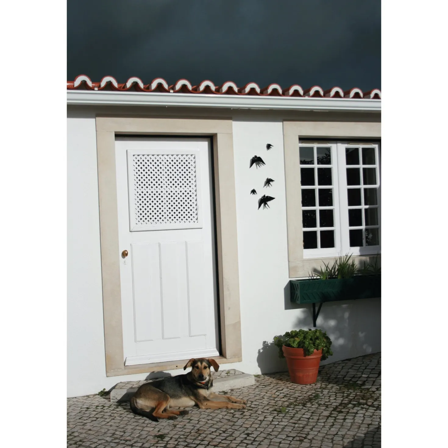 Portugiesische Schwalbe Keramik