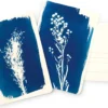 Postkartenset DIY Cyanotypie