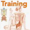 Psoas-Training