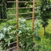Rankgerüst für Beet und Hochbeet