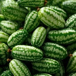 Saatgut Gemüse und Blumen für Kinder