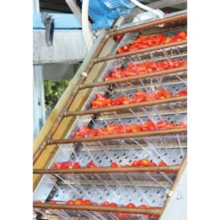 San-Marzano-Tomaten