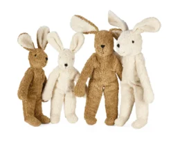 Senger Hase groß