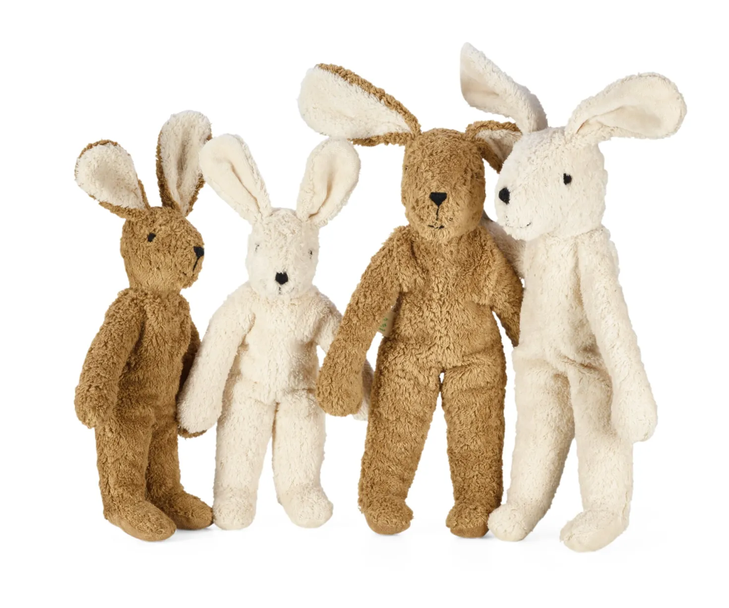 Senger Hase klein