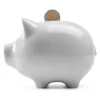 Sparschwein konservativ