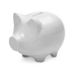 Sparschwein konservativ