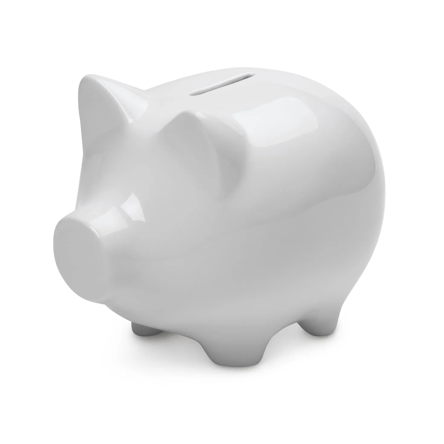 Sparschwein konservativ