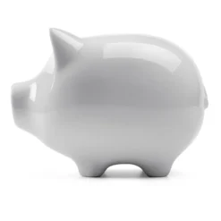 Sparschwein konservativ