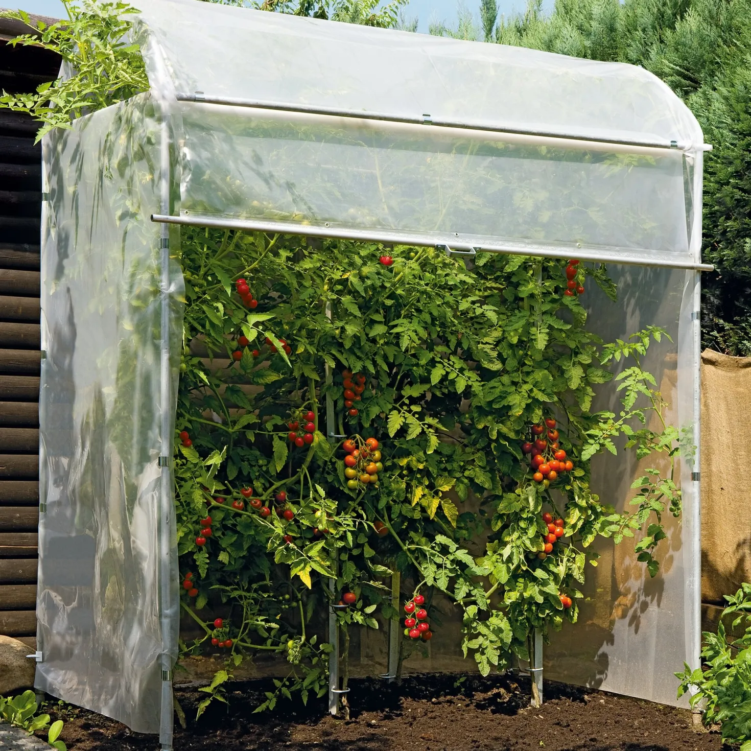 Tomatenhaus Stahlrahmen