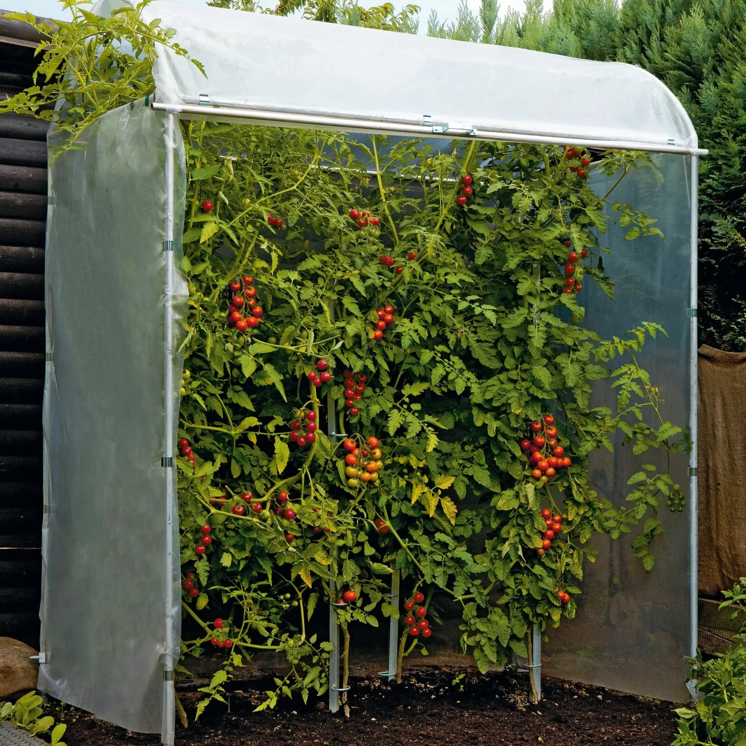 Tomatenhaus Stahlrahmen