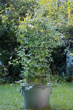 Topfobelisk Stahl