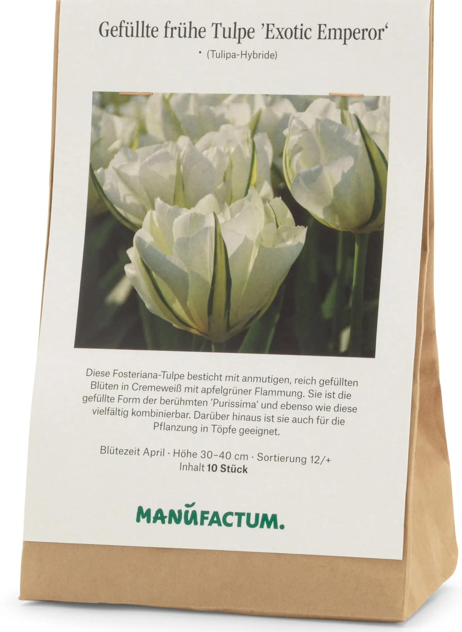 Tulpe 'Exotic Emperor'