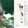 Unserer Natur auf der Spur