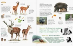 Unserer Natur auf der Spur