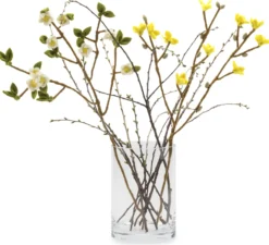 Vase Glas zylinderförmig