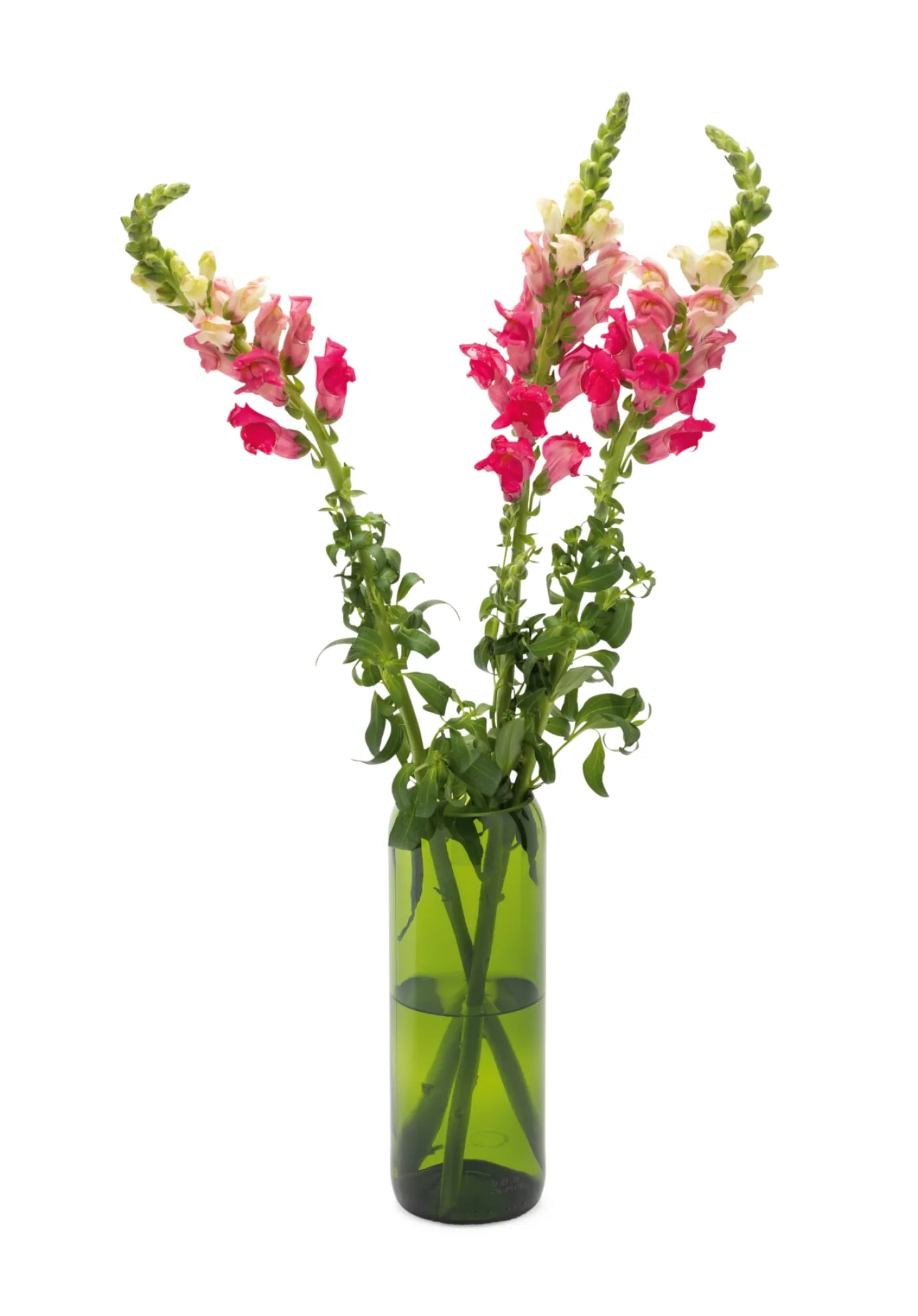 Vase Weinflasche