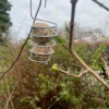 Vogelknödelhalter Spirale