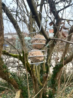 Vogelknödelhalter Spirale
