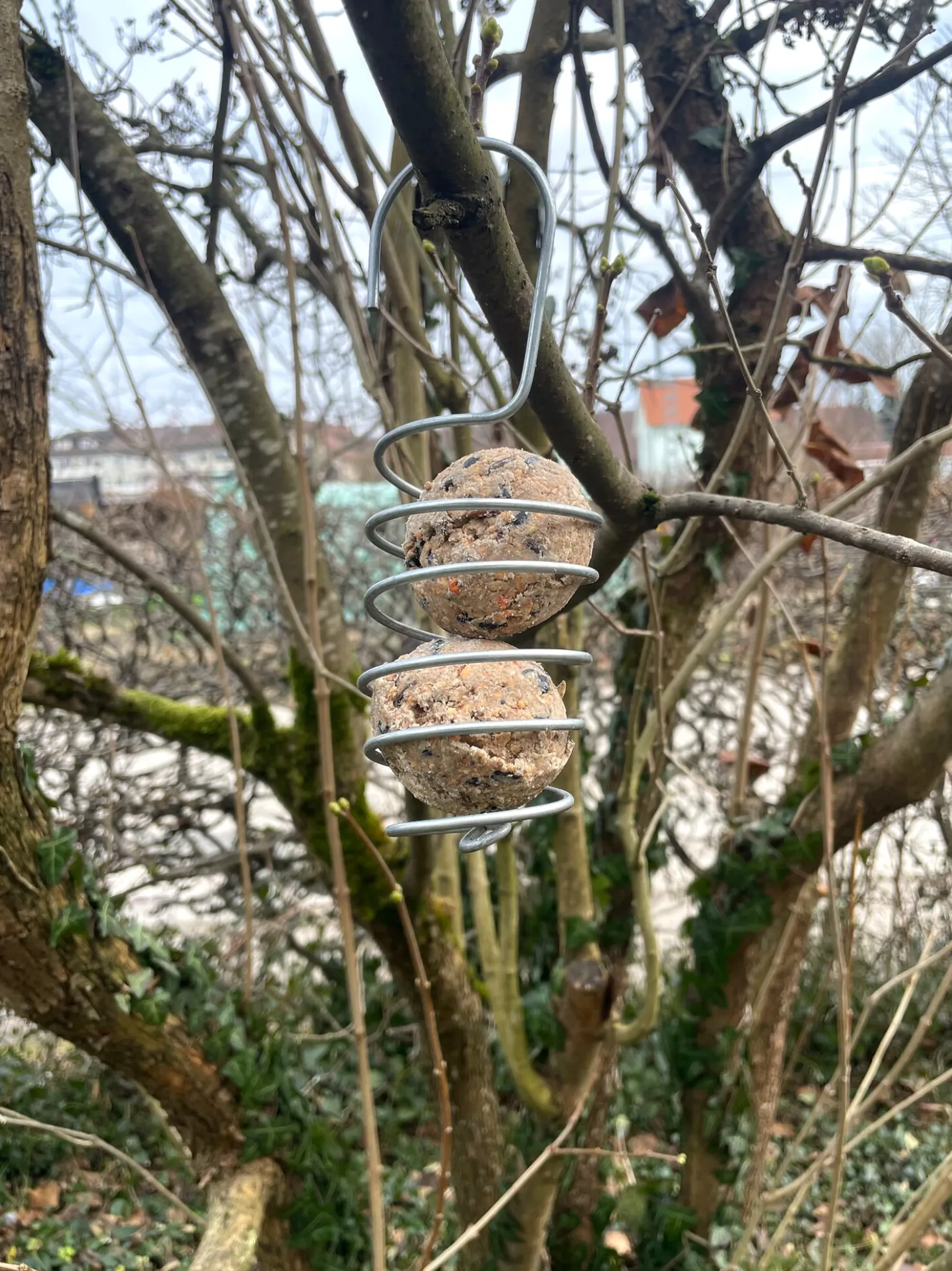 Vogelknödelhalter Spirale