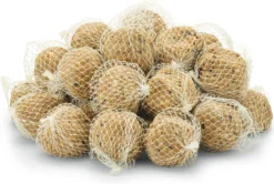 Vogelknödel mit Insekten