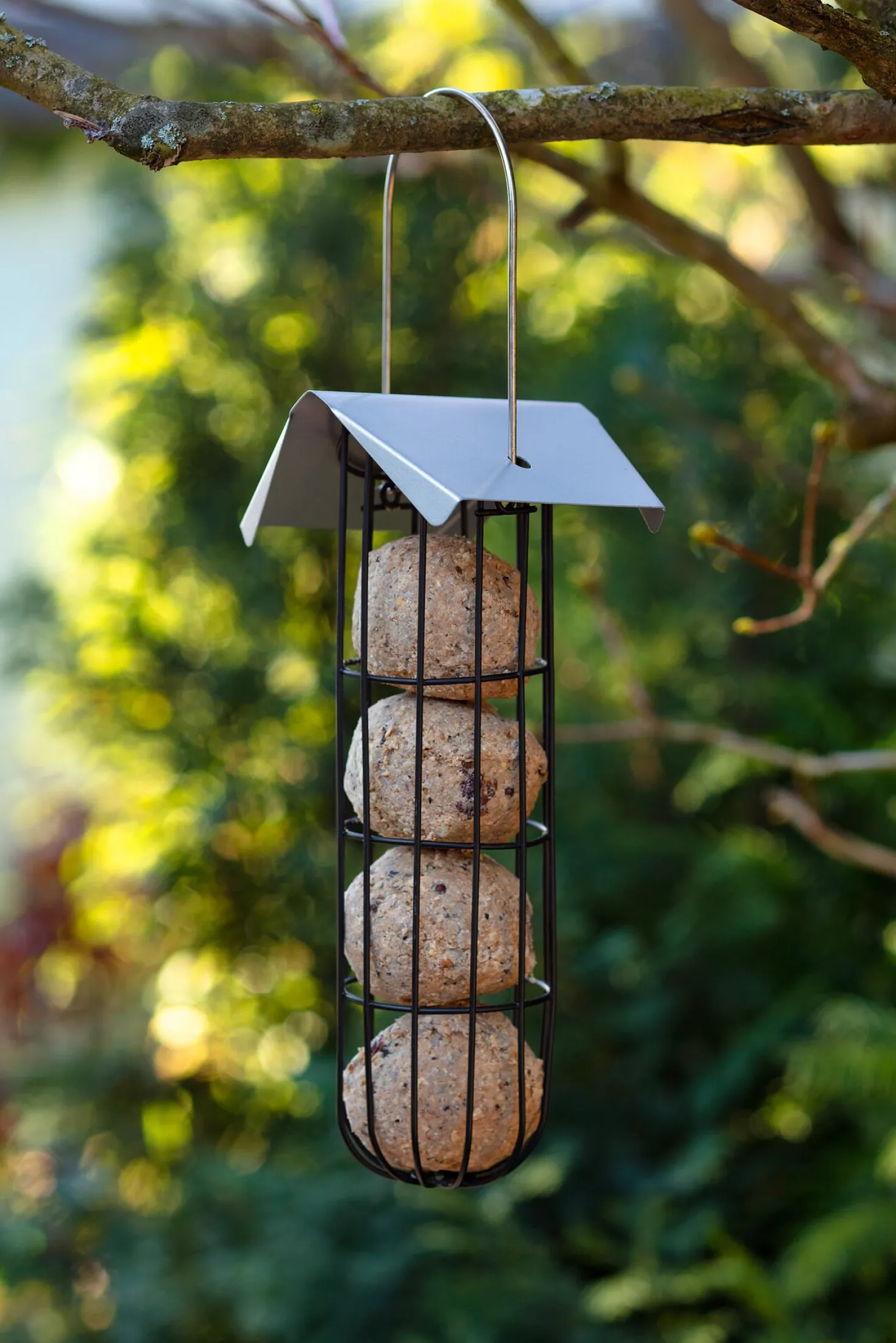 Vogelknödel ohne Netz