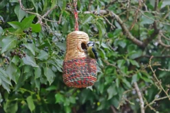 Vogelnest Upcycling