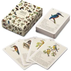 Vogelquartett mit Vogelstimmen