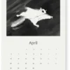 Wandkalender Teemu Järvi