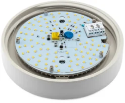 Wand- und Deckenleuchte Zylinder LED