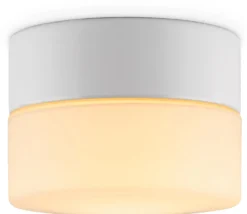 Wand- und Deckenleuchte Zylinder LED