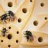 Wildbienenhaus Keramik