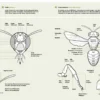 Wildbienenhelfer