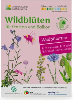 Wildblumen für Balkon und Garten gebietsheimisch