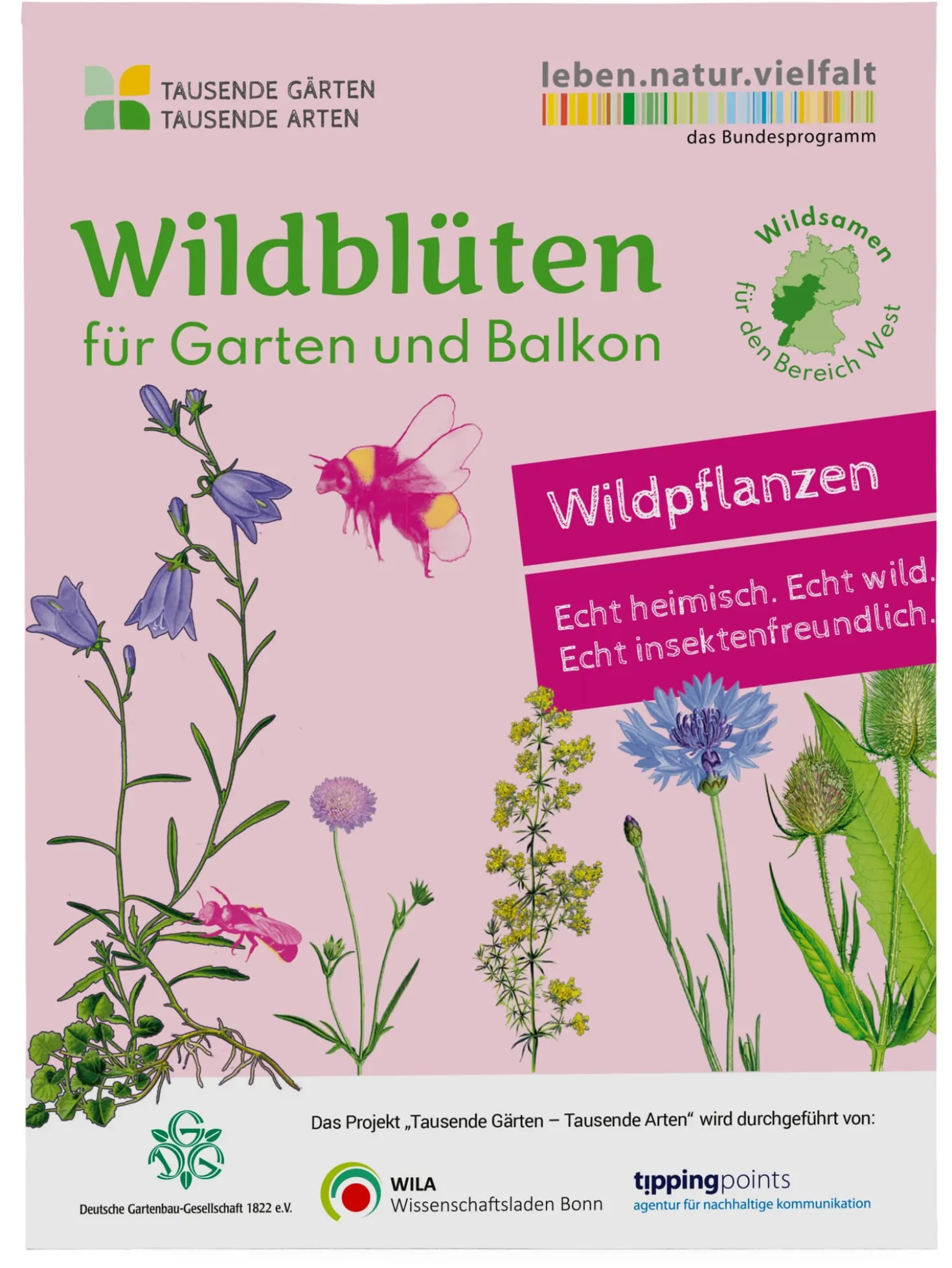 Wildblumen für Balkon und Garten gebietsheimisch