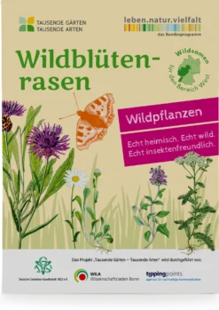 Wildblumenrasen gebietsheimisch