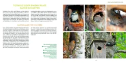 Wilde Ecken und Totholz im Garten