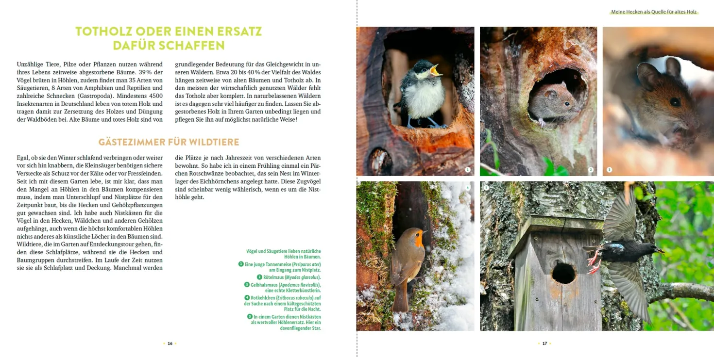 Wilde Ecken und Totholz im Garten