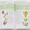 Wildpflanzen neu entdecken