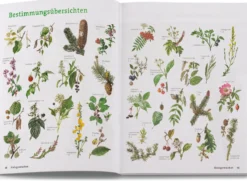 Wildpflanzen neu entdecken