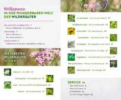 Wild und wunderbar: die 13 besten Wildkräuter
